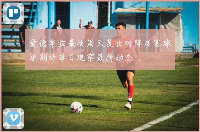 爱德华兹最快周天复出对阵活塞球迷期待每日观察最新动态