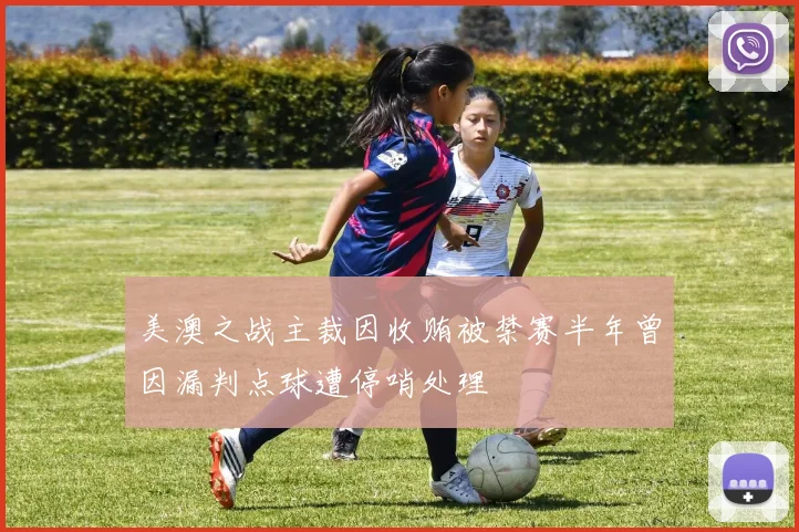 美澳之战主裁因收贿被禁赛半年曾因漏判点球遭停哨处理